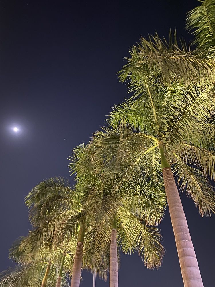 Фотография автора heba