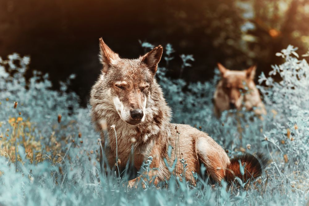 Фотография автора Sarka Svobodova