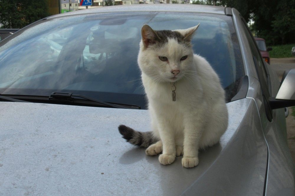 Photograph by Ольга Березовская