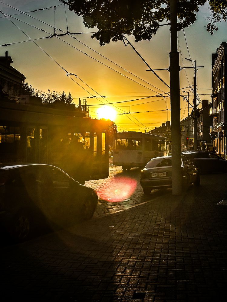 Photograph by Elena Bogoslovskaia