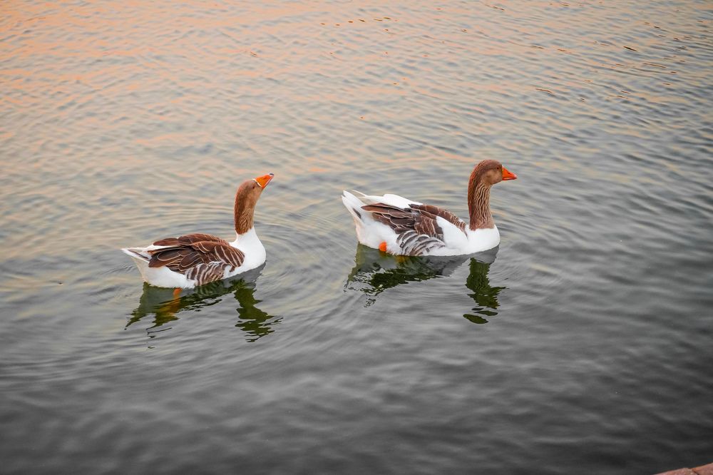 Photograph by Otep Martin Sinel