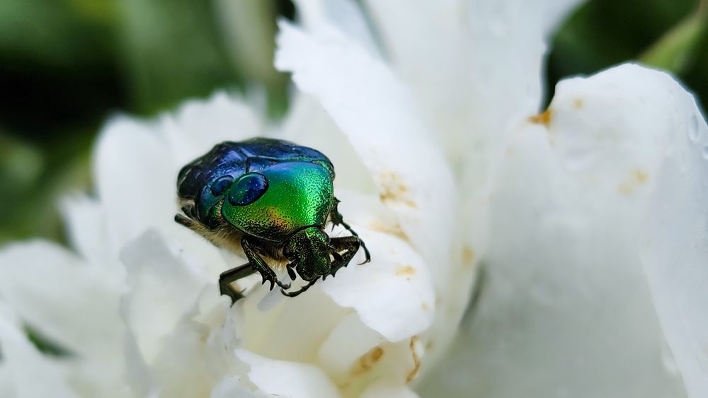 Photograph by Филиппов Олег