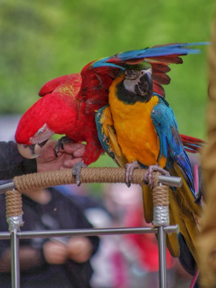 Photograph by Елена Гусева