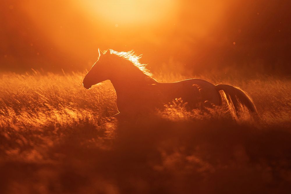 Фотография автора Helena