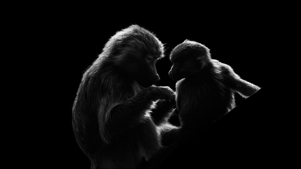 Photograph by Christopher Cann