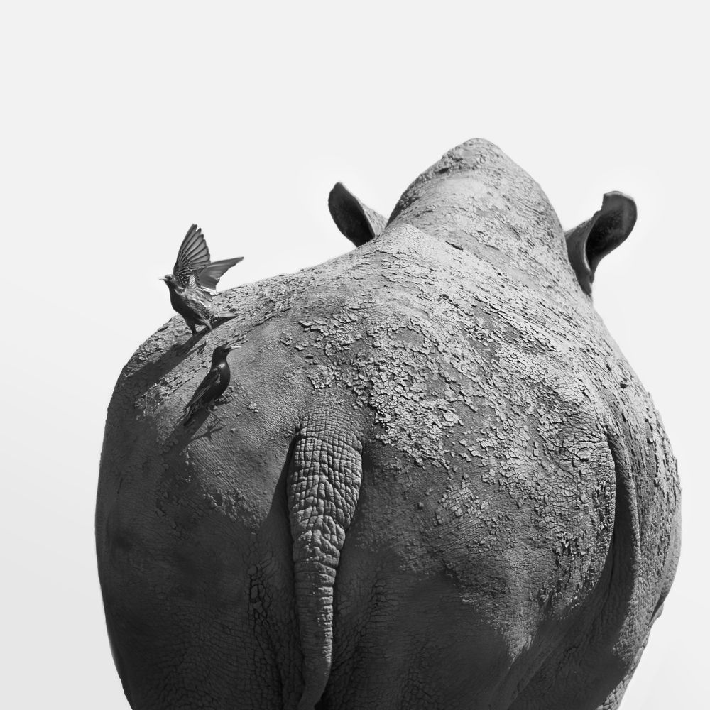 Фотография автора Christopher Cann