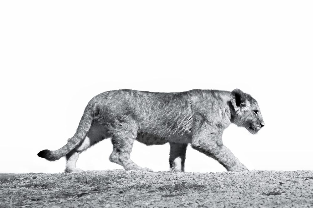 Фотография автора Christopher Cann