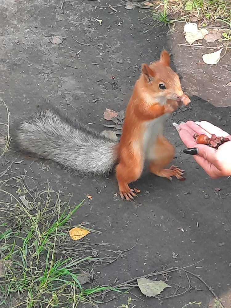 Photograph by Ирина Петракович