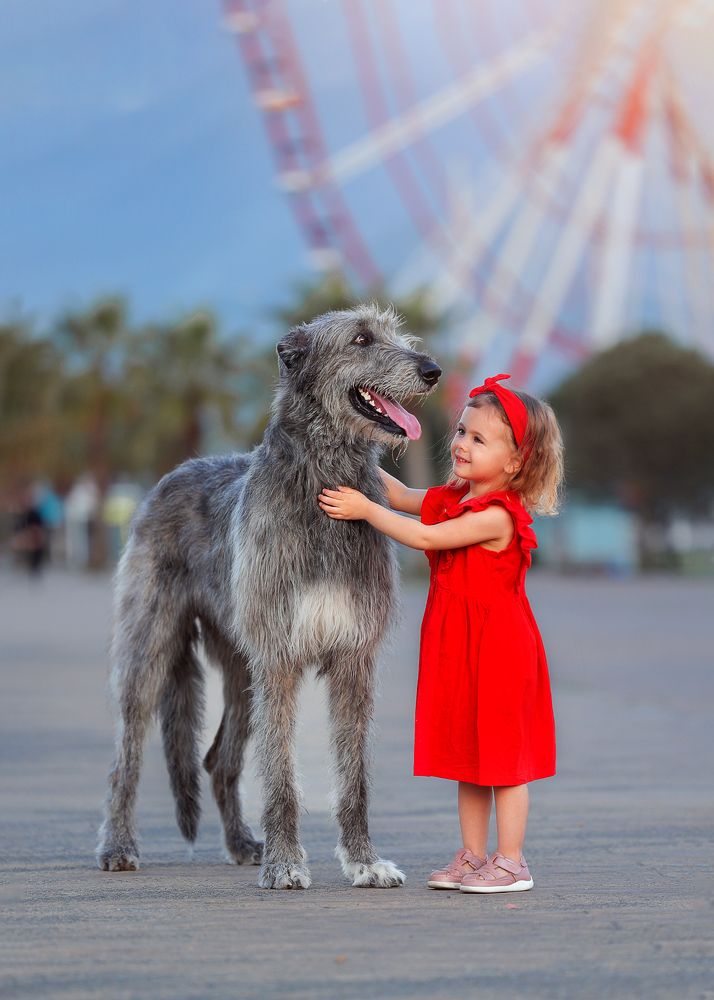 Фотография автора Регина Гущина