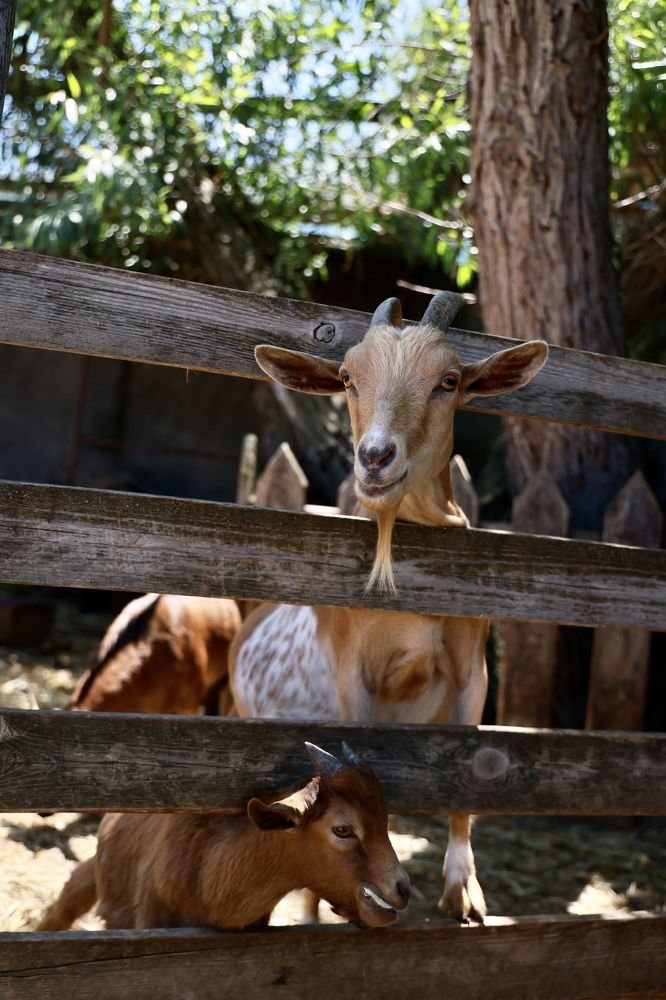 Photograph by Евгения Казакова