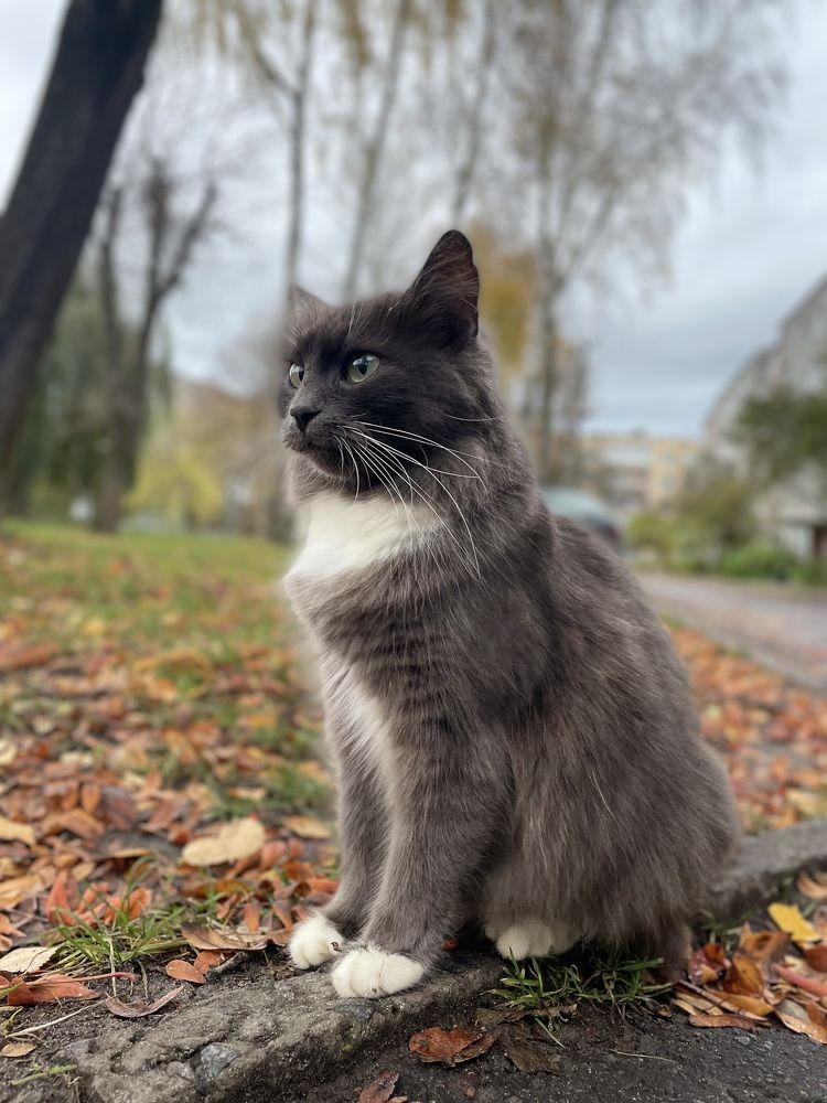 Photograph by Марина Тверитнева