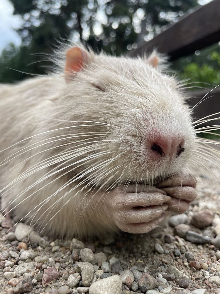 Photograph by Марина Тверитнева