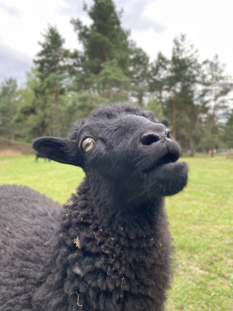 Photograph by Марина Тверитнева