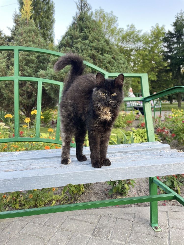 Photograph by Марина Тверитнева