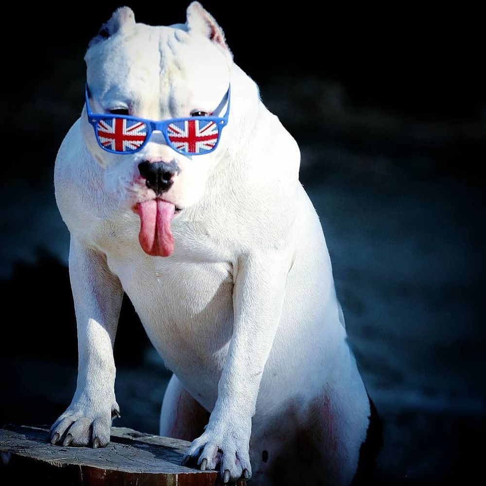 Photograph by Татьяна Исаева