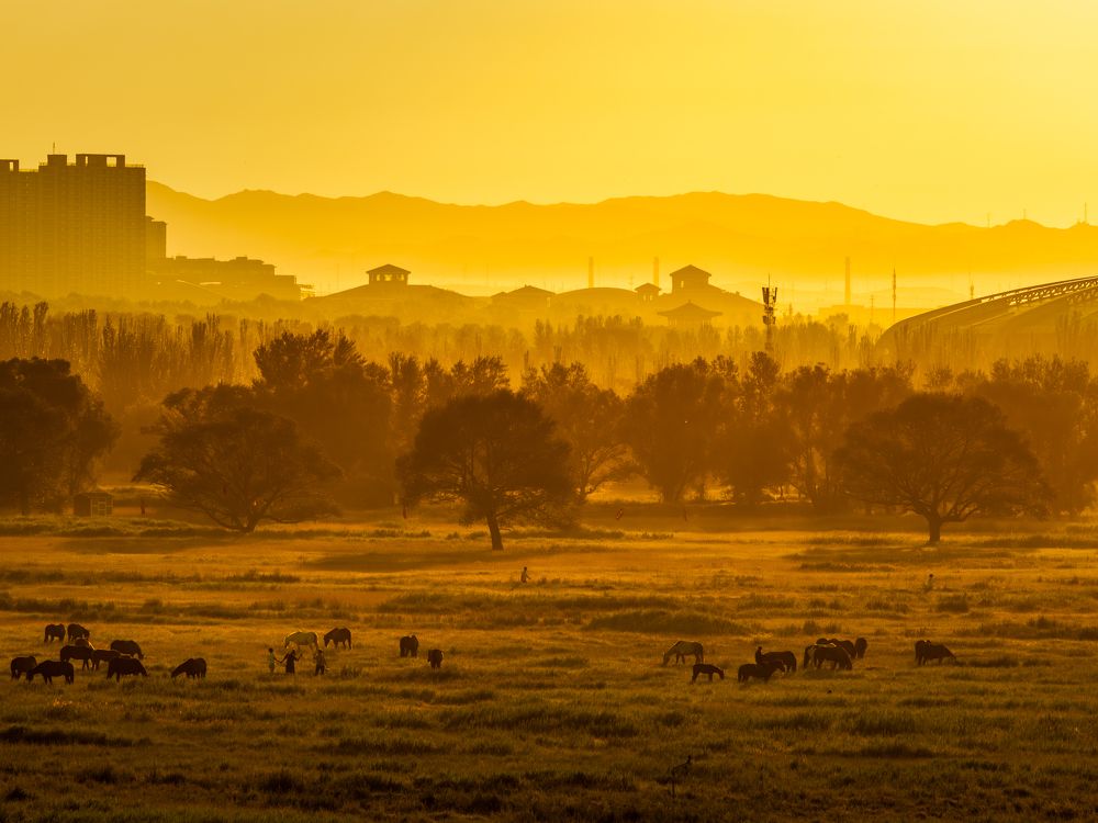 Sunrise in grassland city