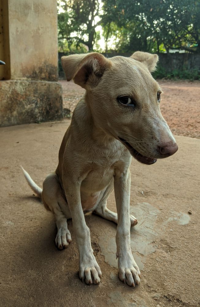 Photograph by Vijayakumar