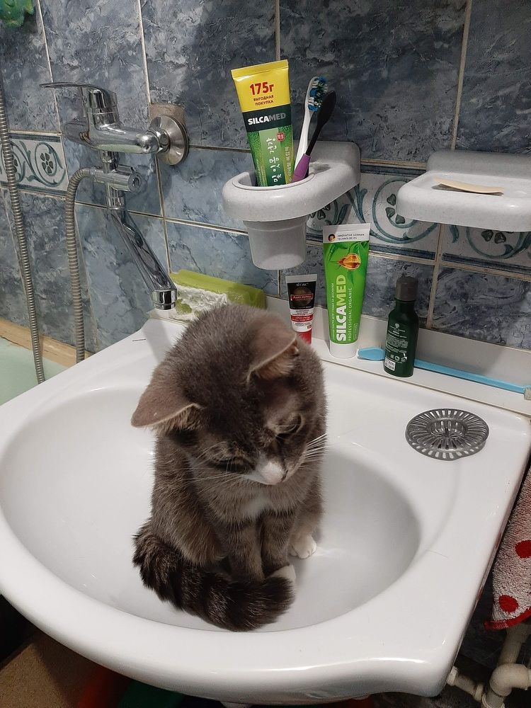 Photograph by Елена Горева