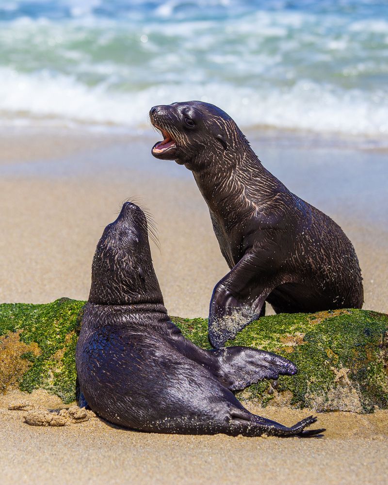 Photograph by Anferow Lana