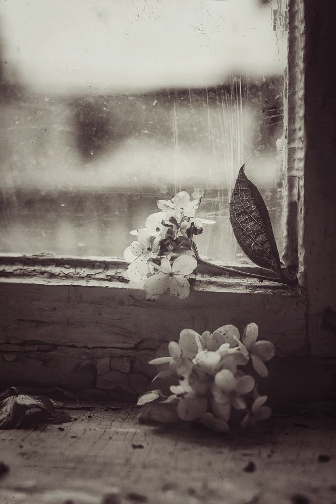 Photograph by Ольга Саенко