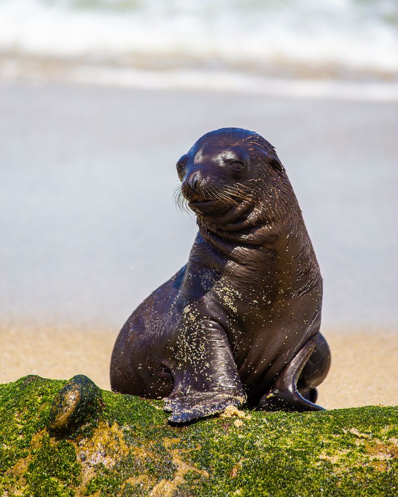 Photograph by Anferow Lana