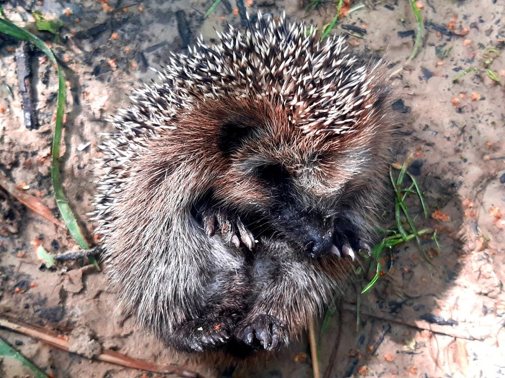 Photograph by Екатерина