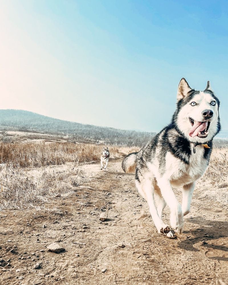 Photograph by Оксана Шевченко