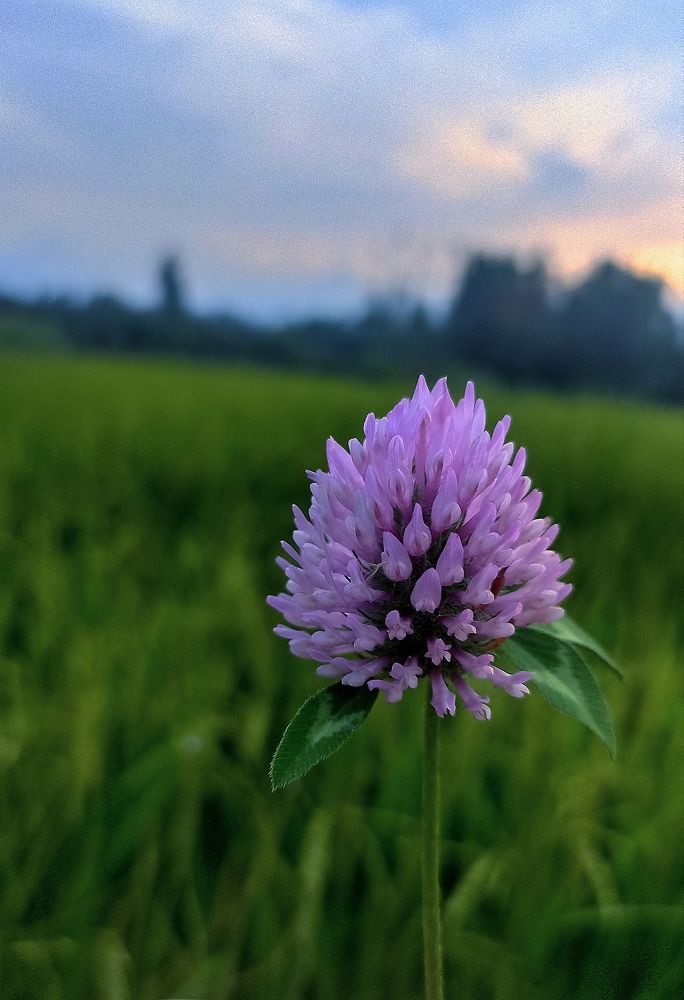 Photograph by Murtaza Rashid