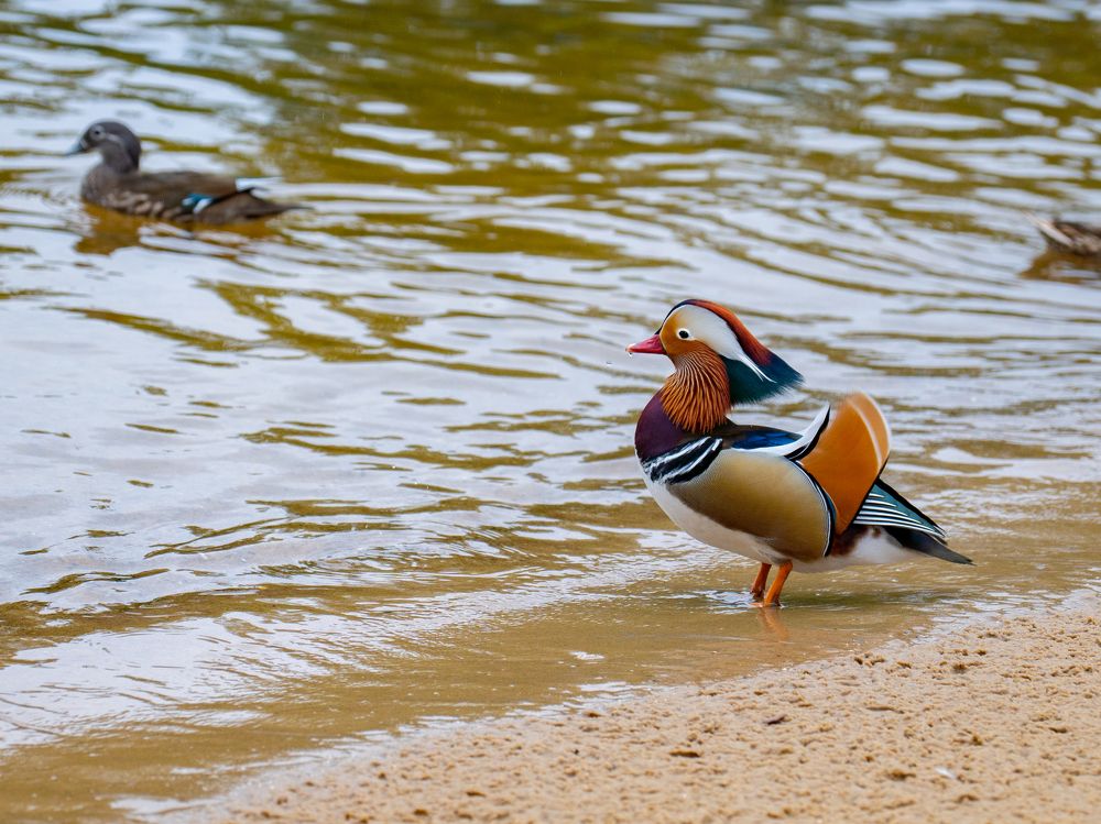 Photograph by Марина