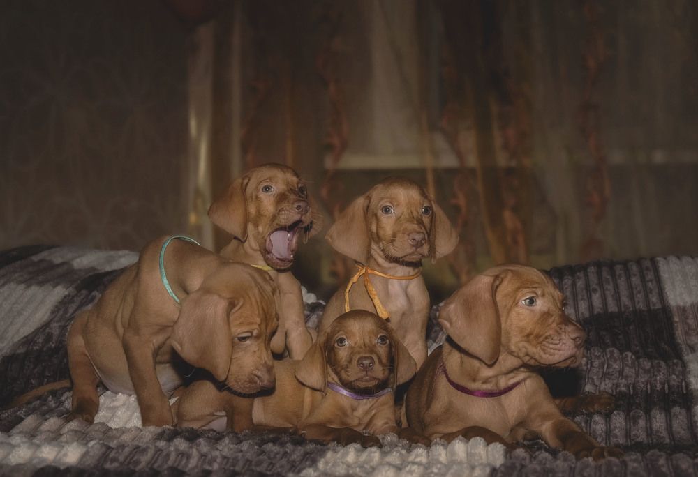 Photograph by Юлия Лушникова