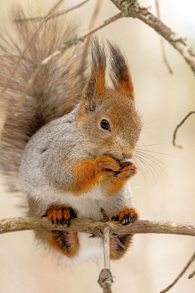 Photograph by Влад Преображенский