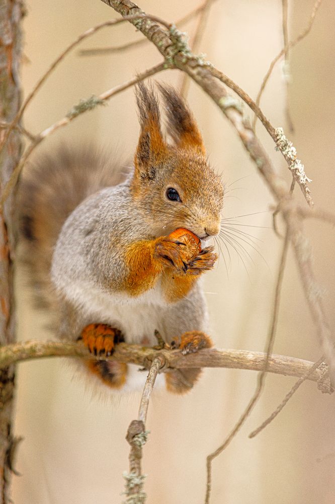 Photograph by Влад Преображенский