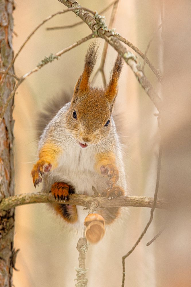 Photograph by Влад Преображенский