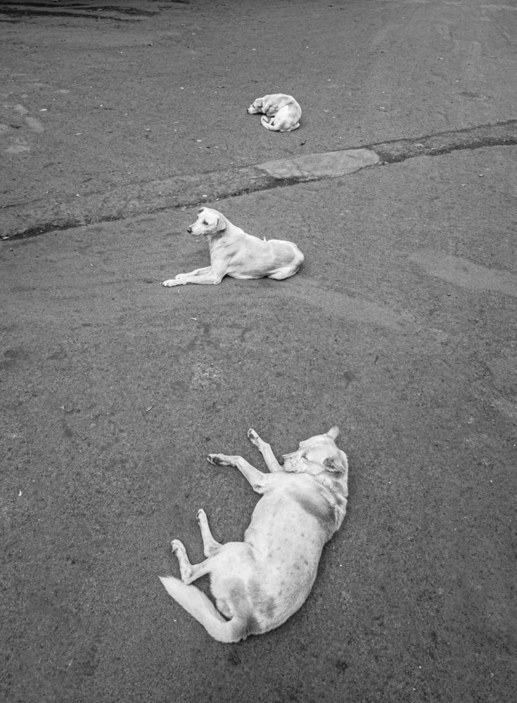 Photograph by Premkumar Karwar