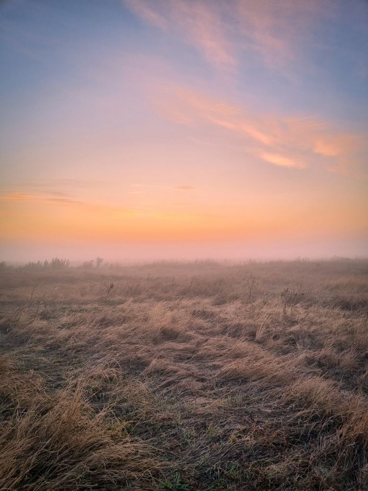 Photograph by Ирина Герлин