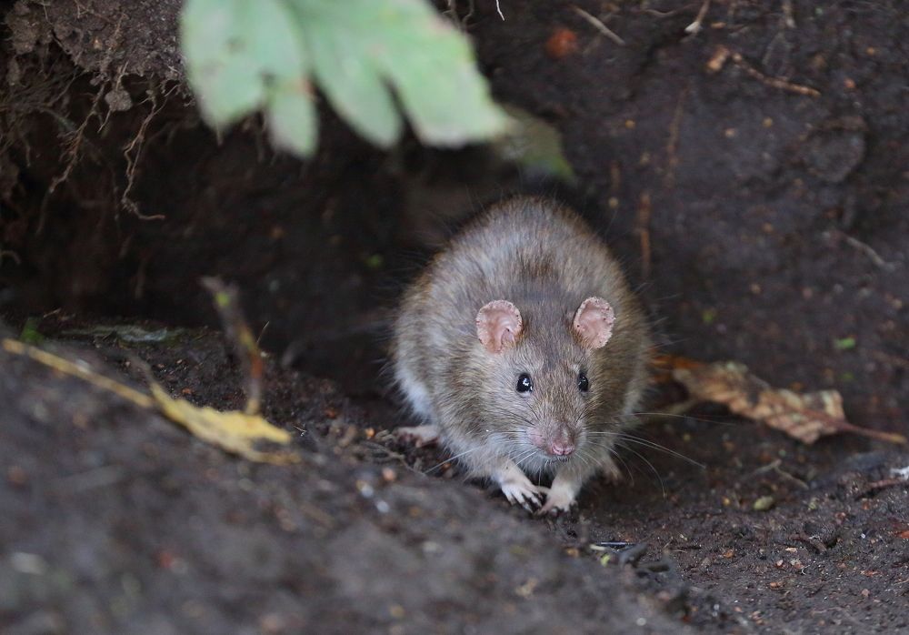 Photograph by Станислав Вершинин