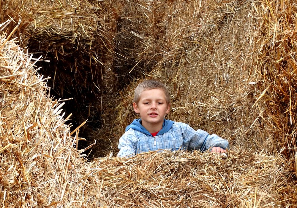 Удовольствие