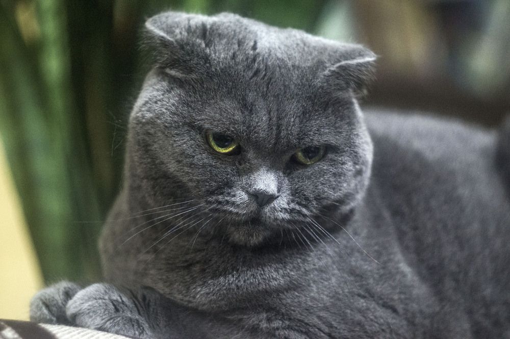 Photograph by Роман Крупченко