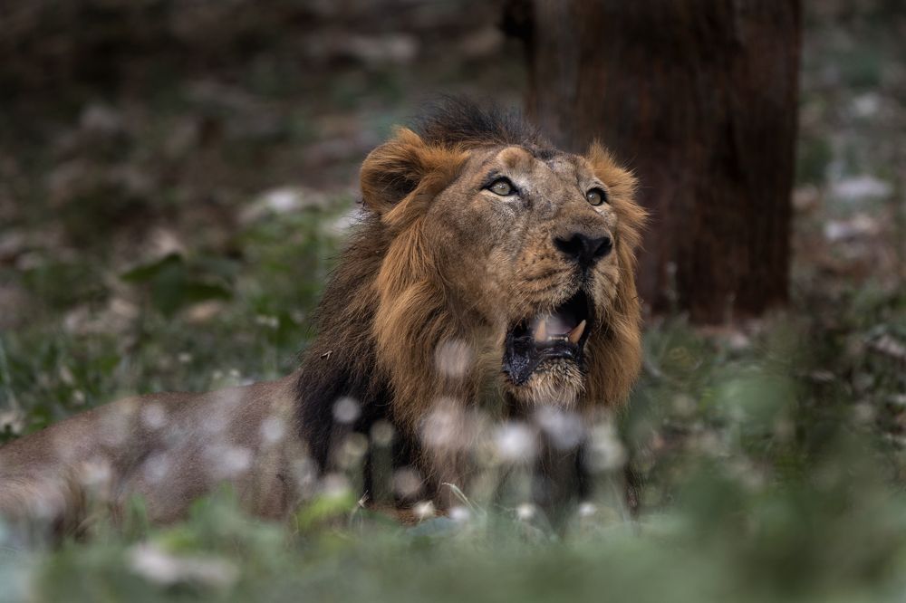 Photograph by Victoryvikas Dadala