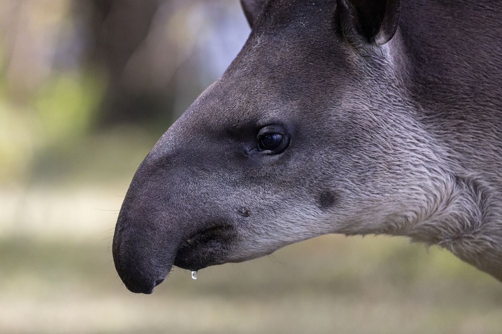 Photograph by Иван Соловьёв