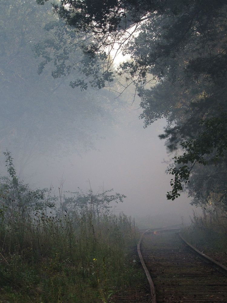 Photograph by Андрей Филиппов