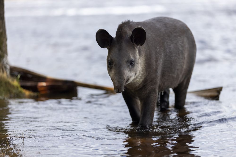 Photograph by Иван Соловьёв