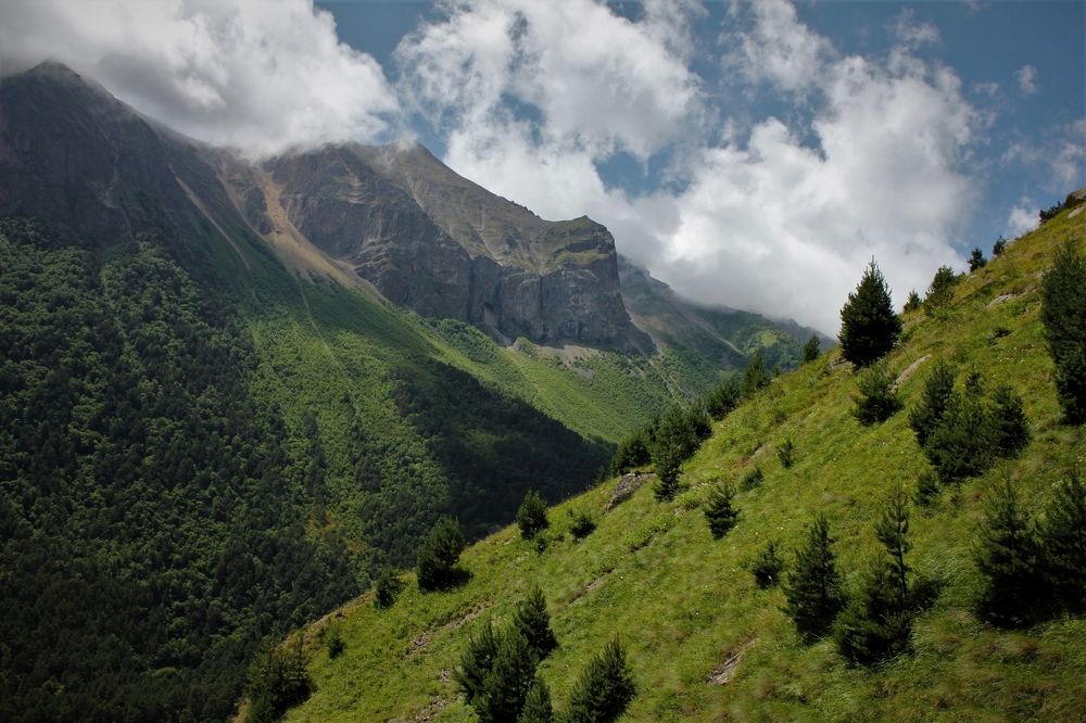 Photograph by Татьяна Долгушева