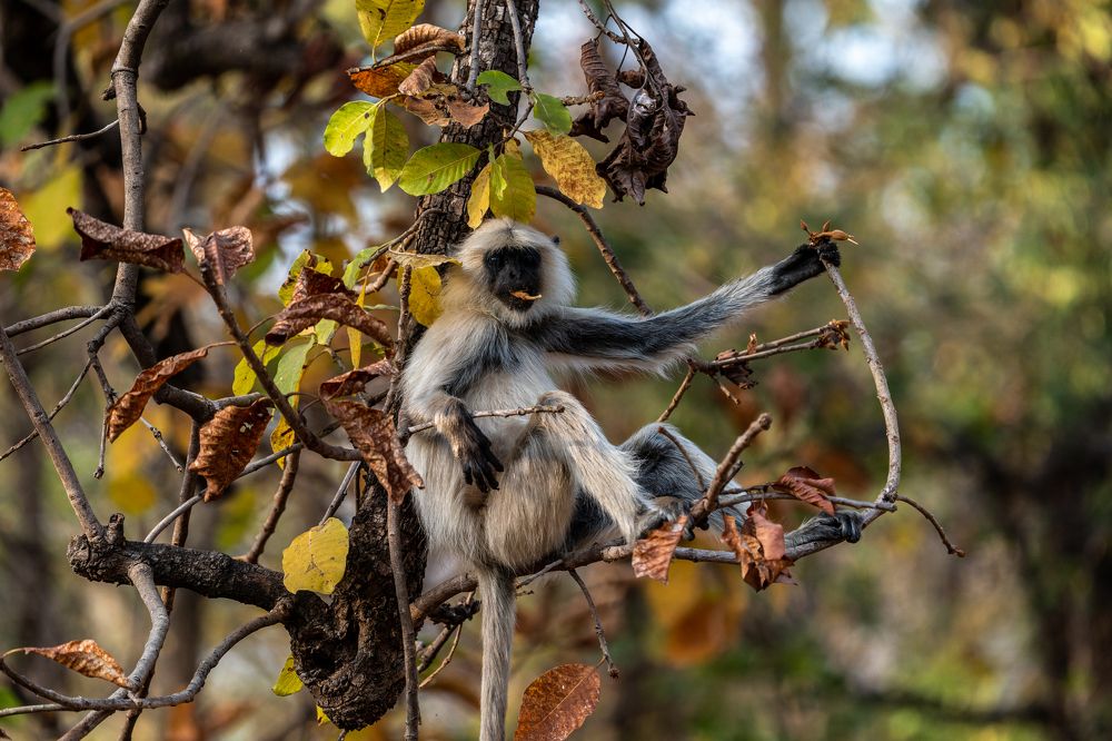 Photograph by mantosh kumar