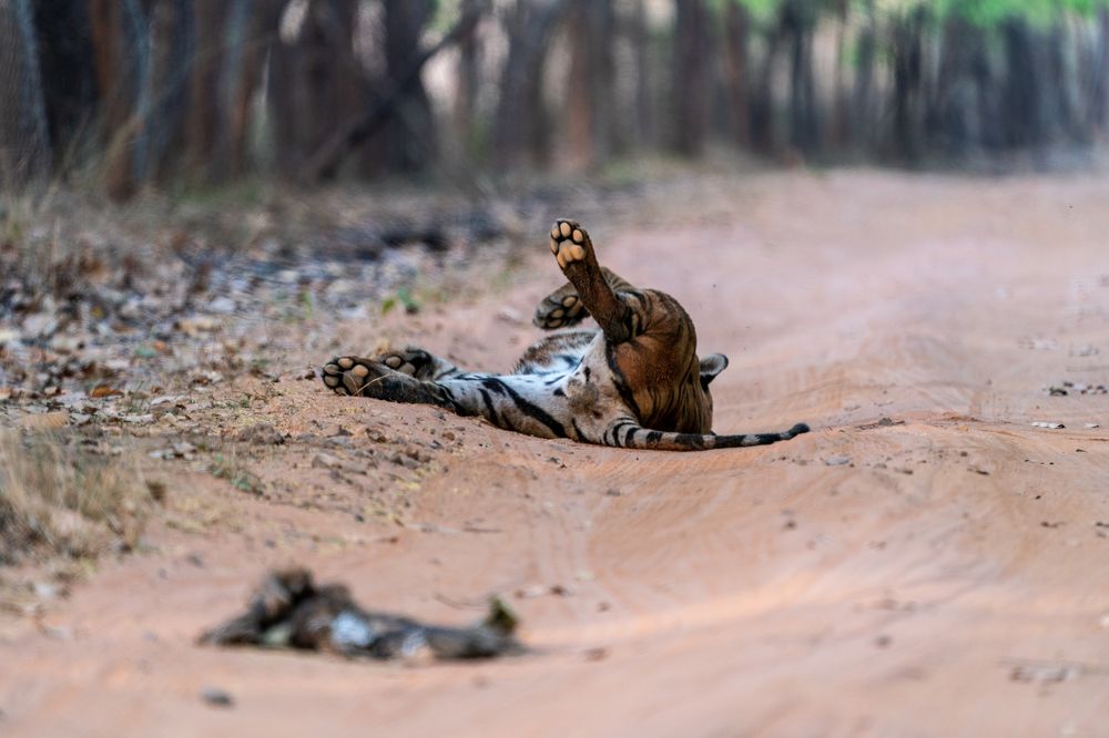 Photograph by mantosh kumar