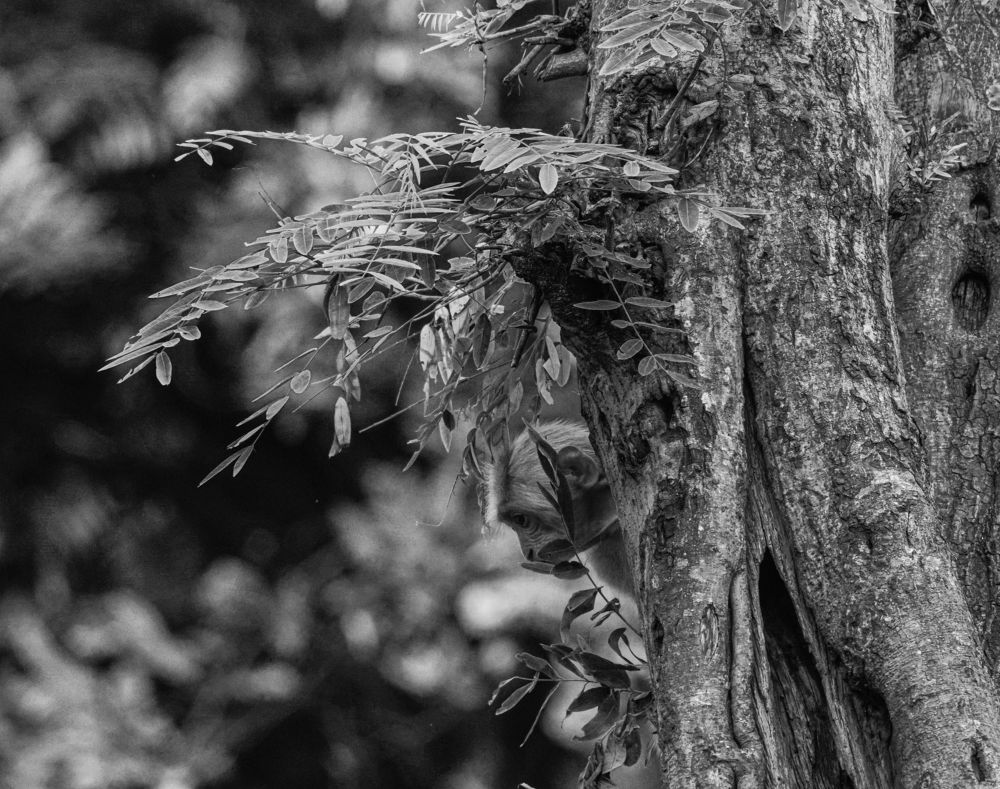 Photograph by Victoryvikas Dadala