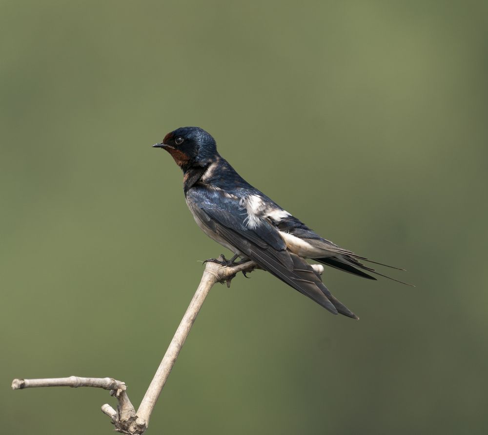 Photograph by mantosh kumar