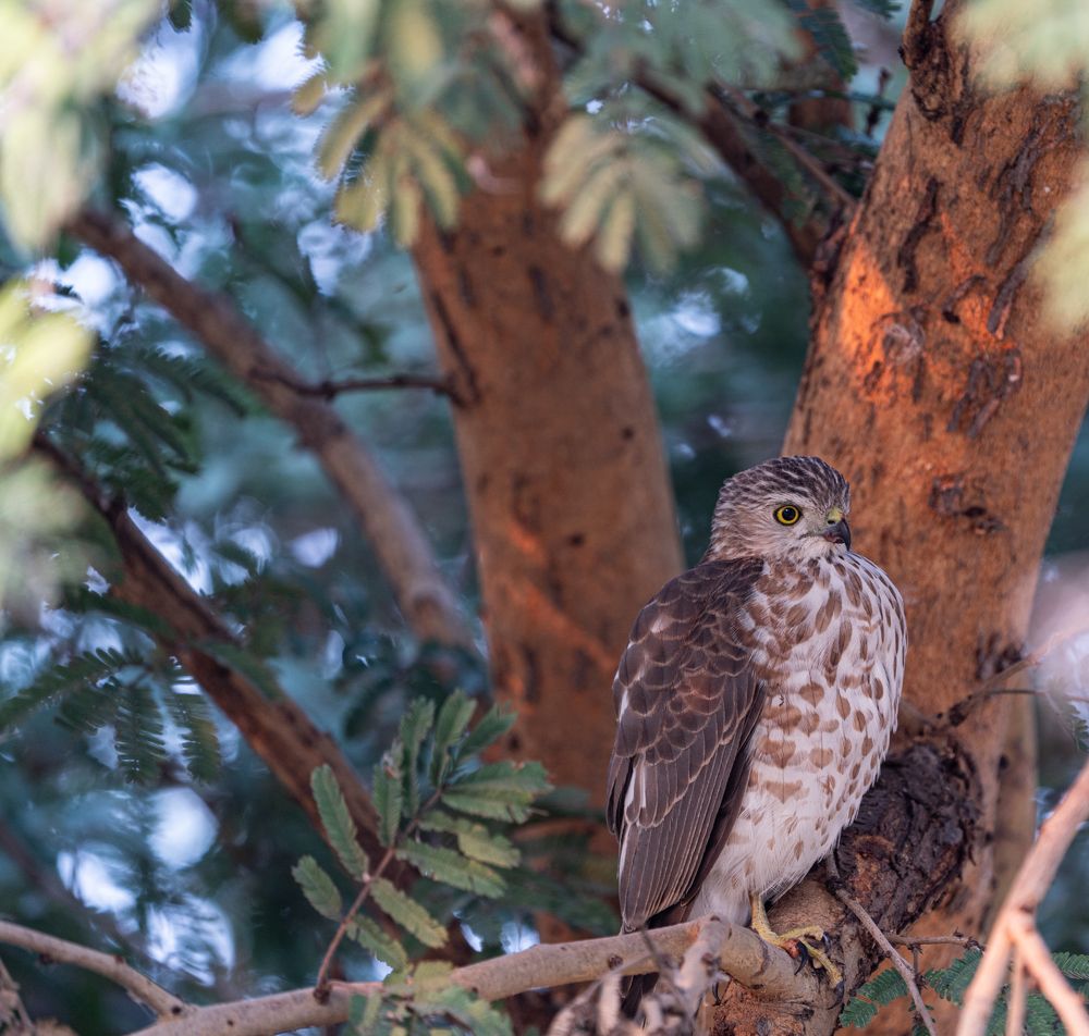 Photograph by mantosh kumar