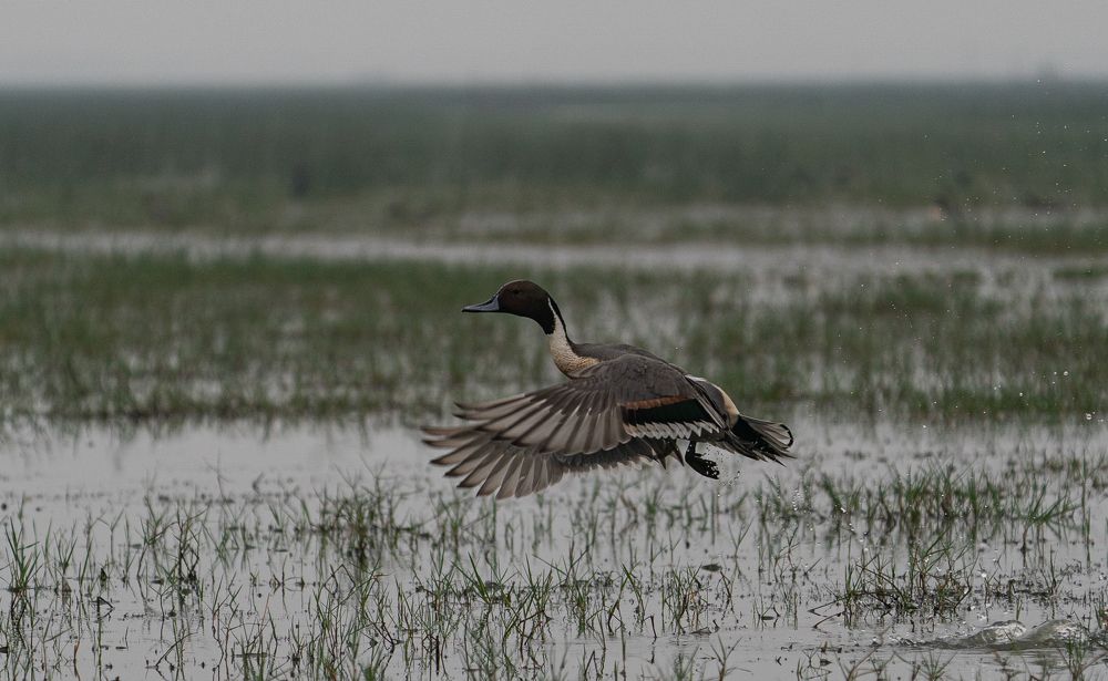 Photograph by mantosh kumar