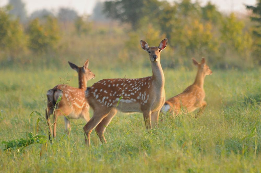 Photograph by Юрий Яковлев